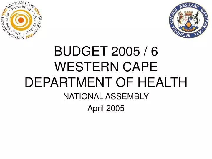 budget 2005 6 western cape department of health