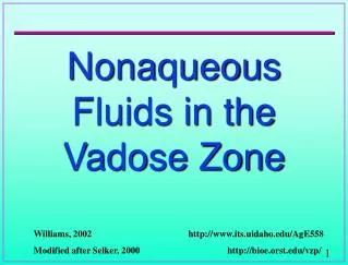 Nonaqueous Fluids in the Vadose Zone