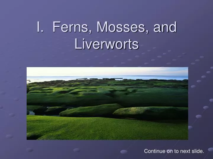 i ferns mosses and liverworts