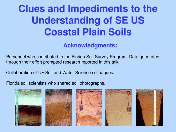 clues and impediments to the understanding of se us coastal plain soils