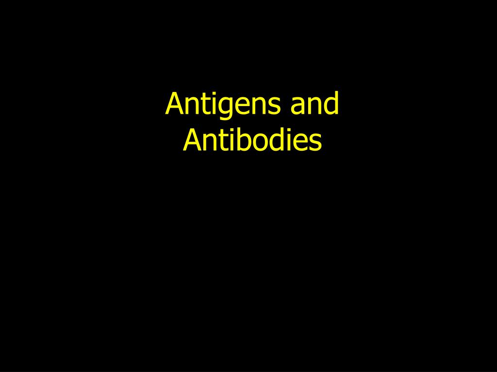 PPT - Antigens and Antibodies PowerPoint Presentation, free download ...