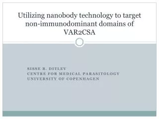 Utilizing nanobody technology to target non- immunodominant domains of VAR2CSA