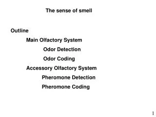 The sense of smell