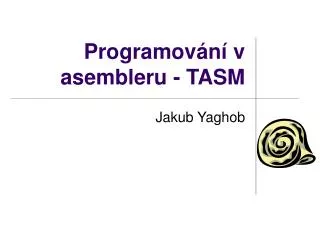 p rogramov n v asembleru tasm