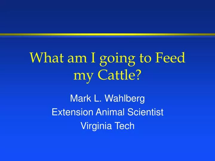 what am i going to feed my cattle