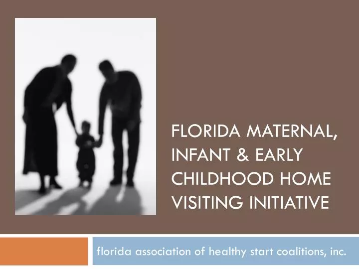 florida maternal infant early childhood home visiting initiative