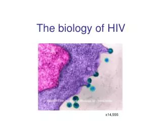 The biology of HIV