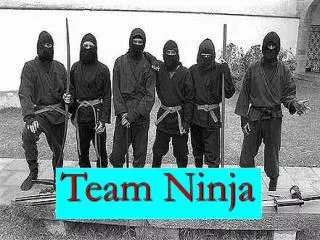 Team Ninja