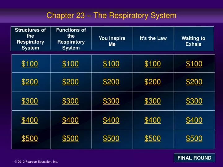 chapter 23 the respiratory system