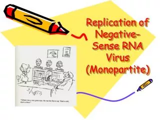 Replication of Negative-Sense RNA Virus (Monopartite)