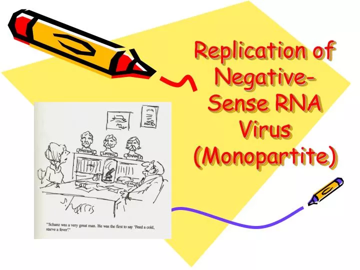 replication of negative sense rna virus monopartite