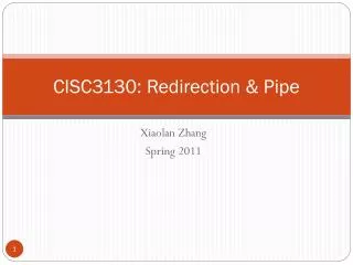 CISC3130: Redirection &amp; Pipe