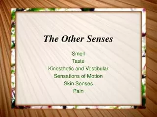 The Other Senses