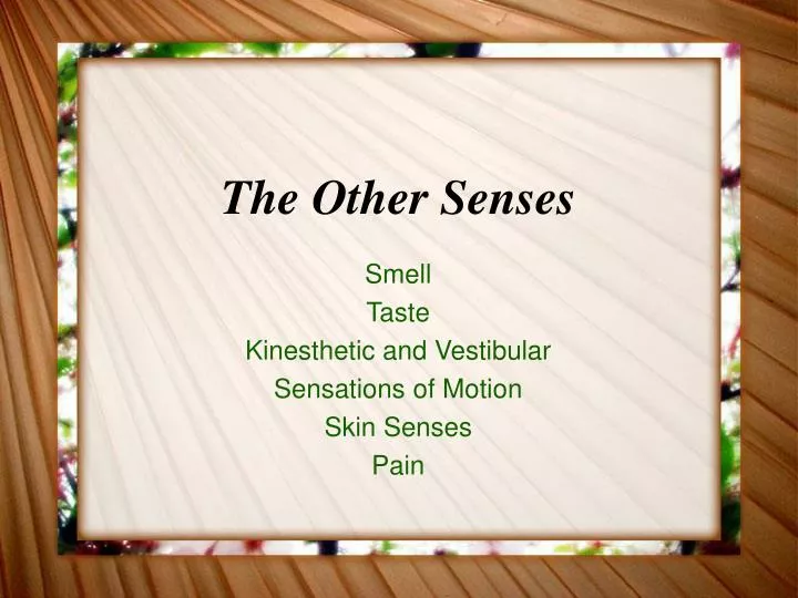 the other senses