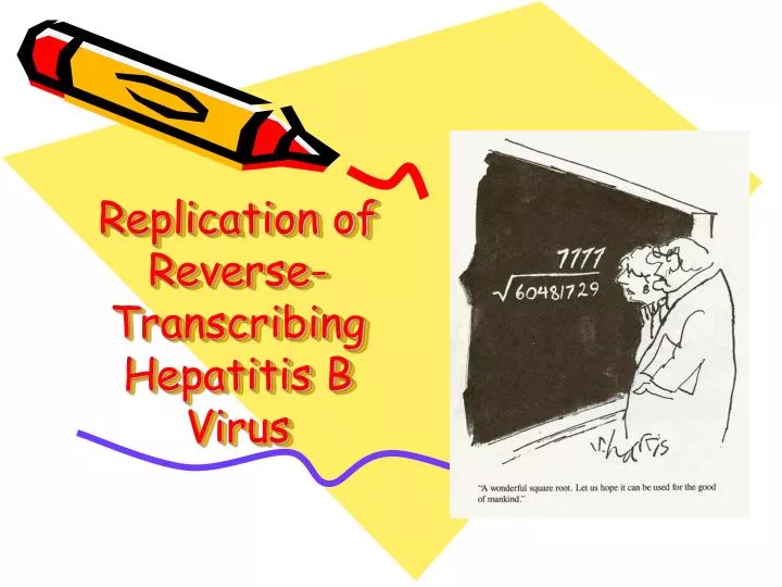 replication of reverse transcribing hepatitis b virus