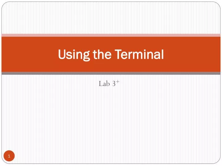 using the terminal