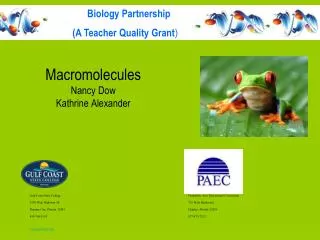 Macromolecules Nancy Dow Kathrine Alexander