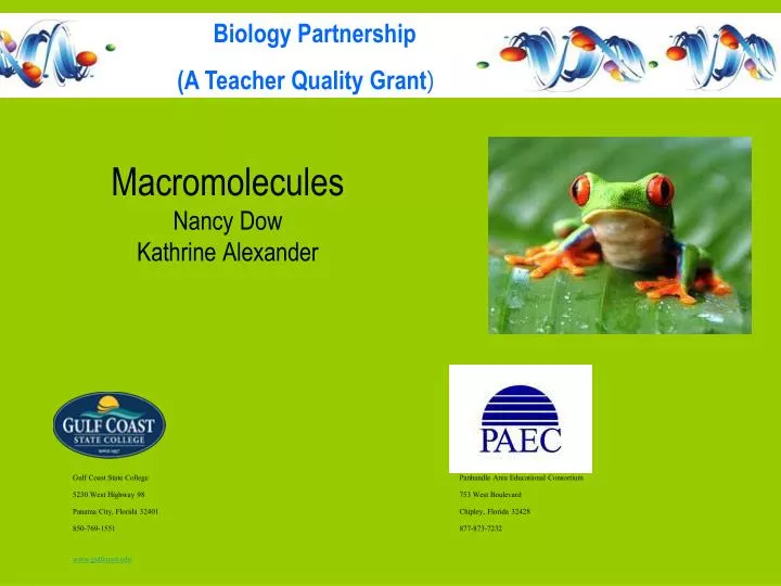 macromolecules nancy dow kathrine alexander