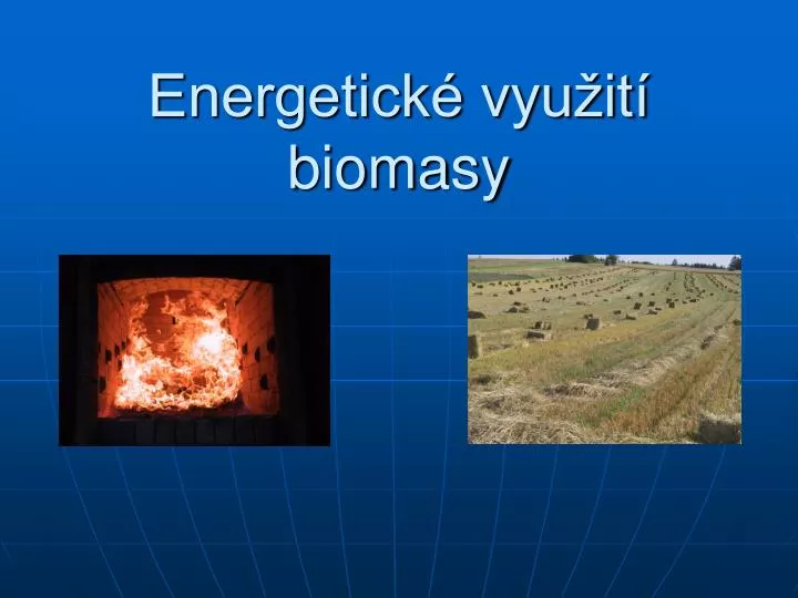 energetick vyu it biomasy