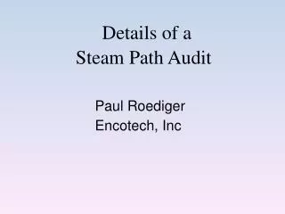 Details of a Steam Path Audit
