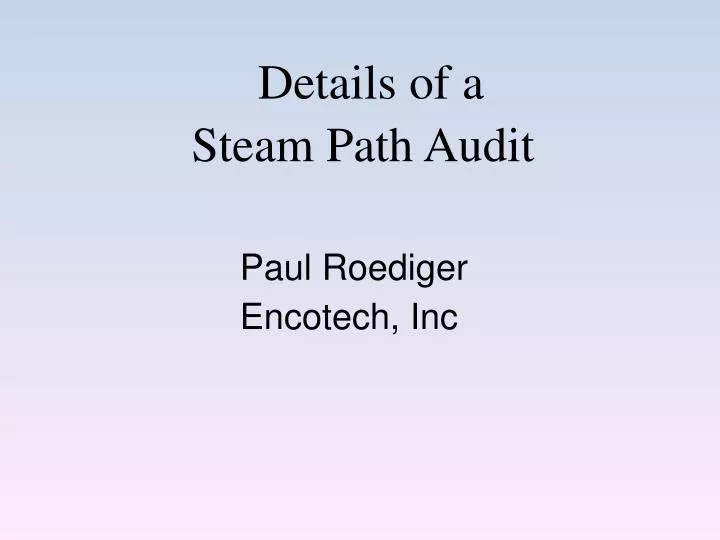details of a steam path audit