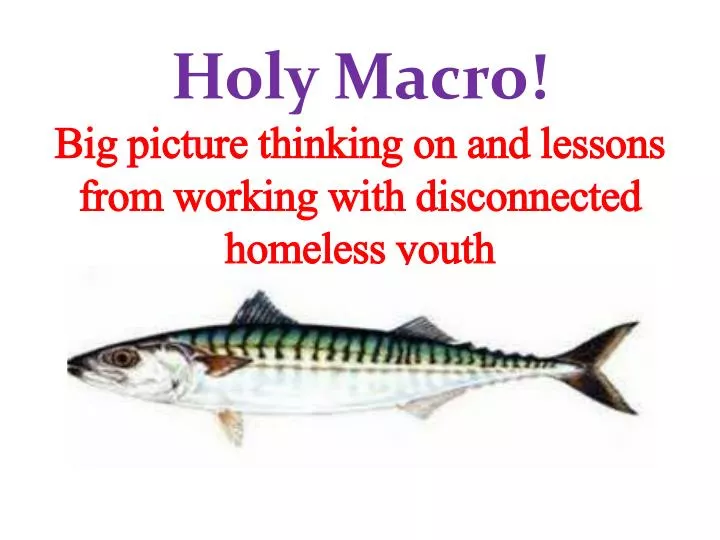 holy macro big picture thinking on and lessons from working with disconnected homeless youth