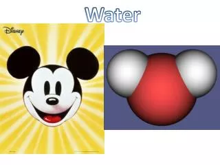 Water