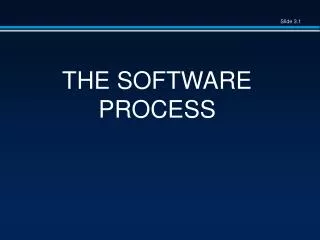 THE SOFTWARE PROCESS