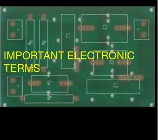 IMPORTANT ELECTRONIC TERMS