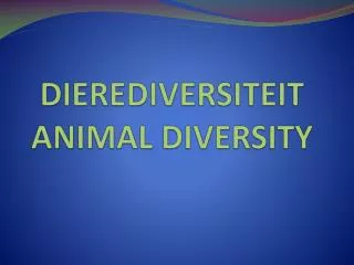 DIEREDIVERSITEIT ANIMAL DIVERSITY
