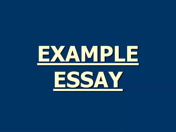 example essay