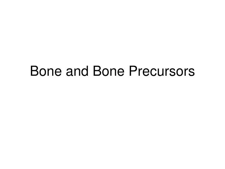 bone and bone precursors