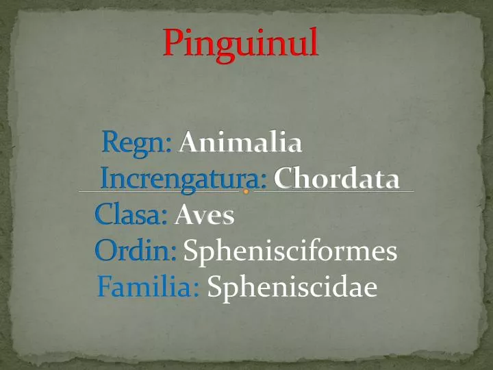 pinguinul