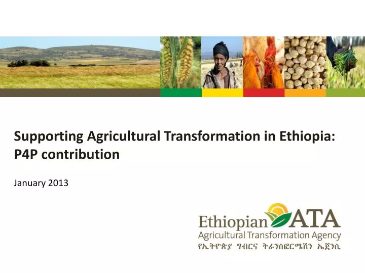 supporting agricultural transformation in ethiopia p4p contribution