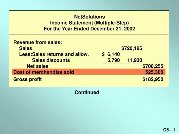 netsolutions income statement multiple step for the year ended december 31 2002