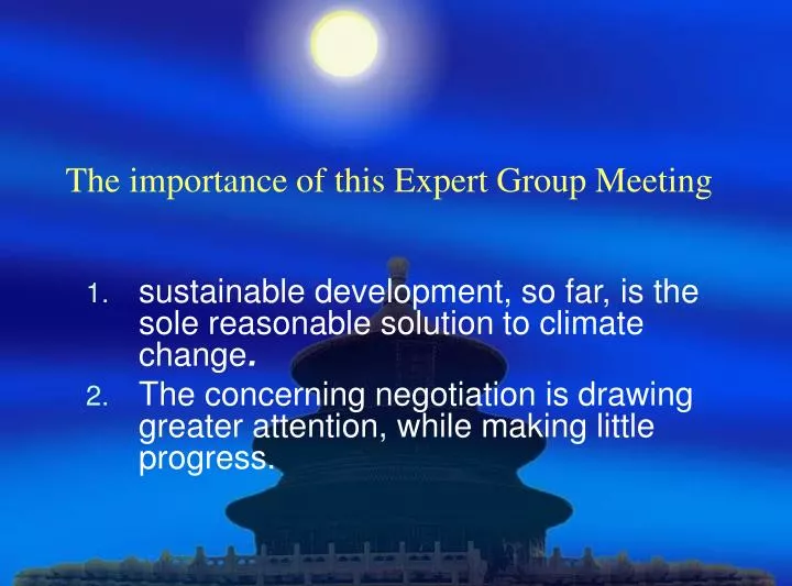 the importance of this expert group meeting
