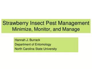 Strawberry Insect Pest Management Minimize, Monitor, and Manage