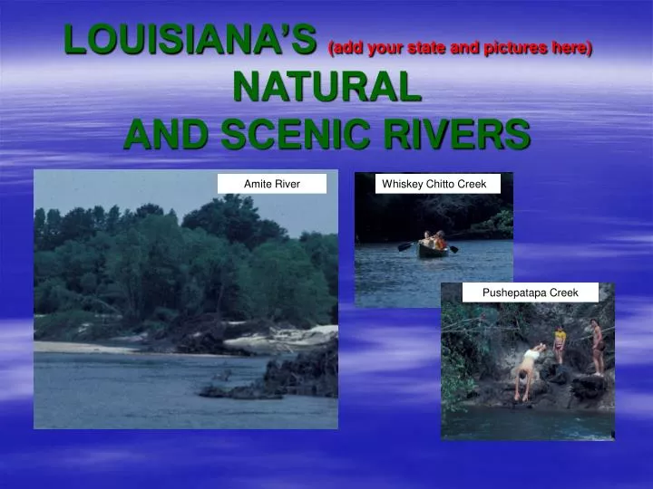 louisiana s add your state and pictures here natural and scenic rivers