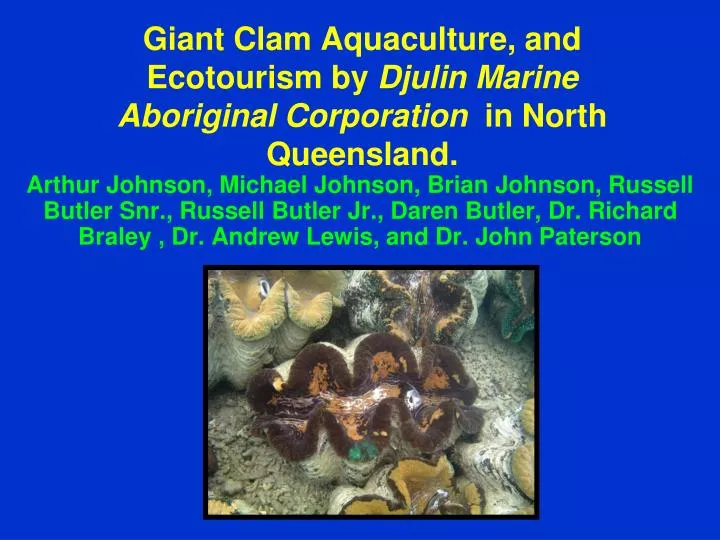 giant clam aquaculture and ecotourism by djulin marine aboriginal corporation in north queensland