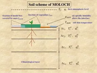 Soil scheme of MOLOCH