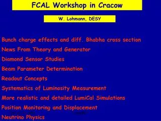 FCAL Workshop in Cracow