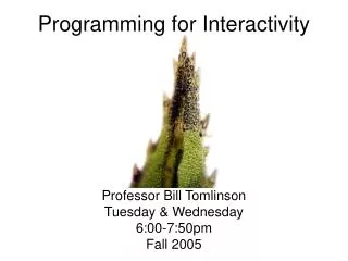 Programming for Interactivity