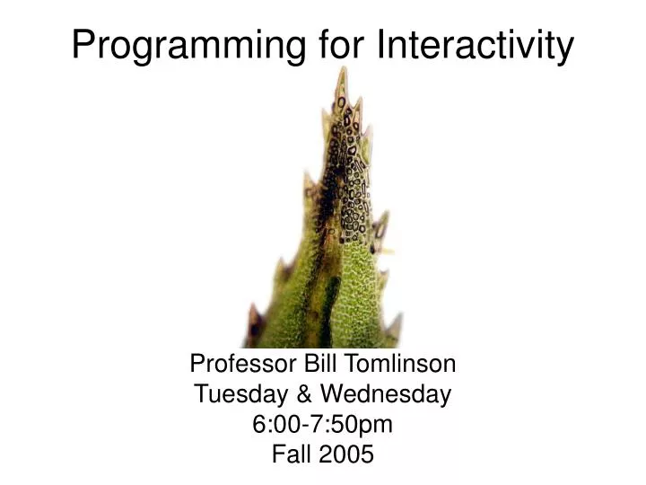 programming for interactivity