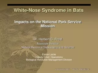 White-Nose Syndrome in Bats