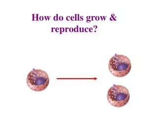 How do cells grow &amp; reproduce?