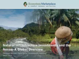 Natural Infrastructure Investments and the Nexus: A Global Overview