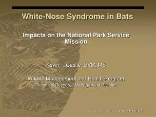 White-Nose Syndrome in Bats