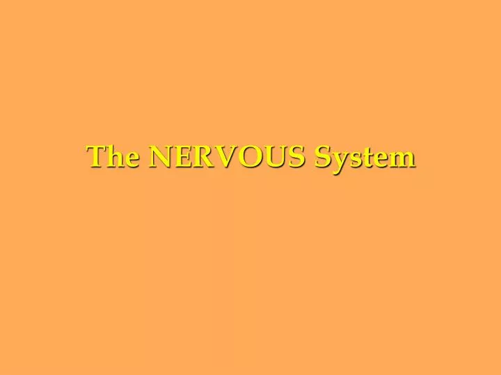 the nervous system