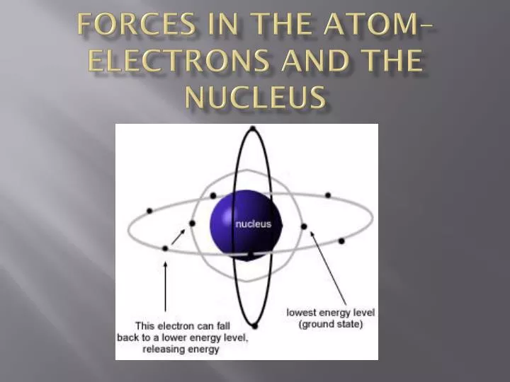 forces in the atom electrons and the nucleus