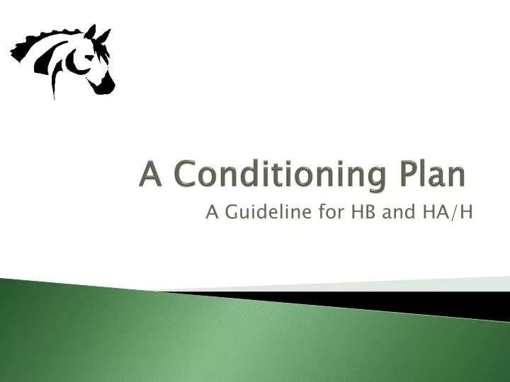 a conditioning plan